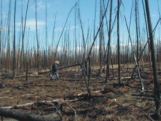 chisholm_fire_site3-7685728