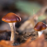 newseventsimage_1618327706407_mainnews2012_x1-1