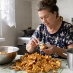 Грибные запасы требуют быстрой обработки
