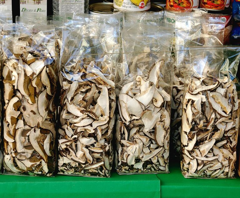 Лесные вёшенки сушат полосками около 5 мм и хранят в сухих банках