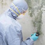 Федерация судебных экспертов описала поиск причин грибковых поражений зданий